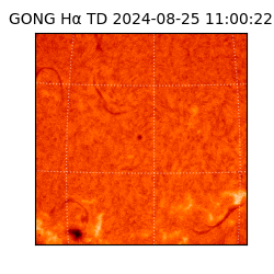 gong - 2024-08-25T11:00:22