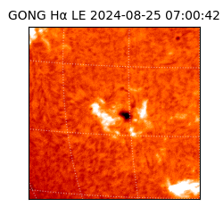 gong - 2024-08-25T07:00:42