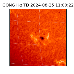 gong - 2024-08-25T11:00:22