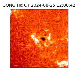 gong - 2024-08-25T12:00:42