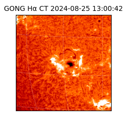 gong - 2024-08-25T13:00:42