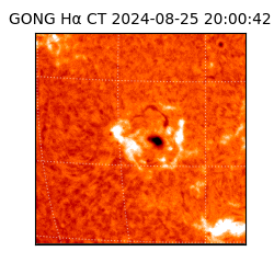 gong - 2024-08-25T20:00:42