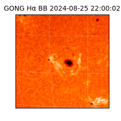 gong - 2024-08-25T22:00:02