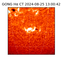 gong - 2024-08-25T13:00:42