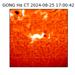 gong - 2024-08-25T17:00:42