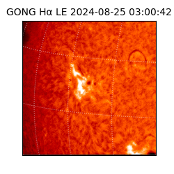 gong - 2024-08-25T03:00:42