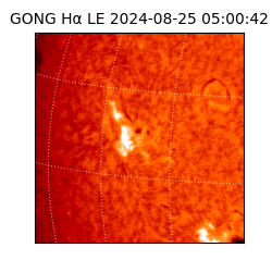 gong - 2024-08-25T05:00:42