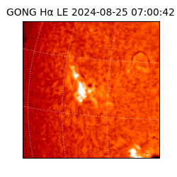 gong - 2024-08-25T07:00:42