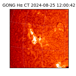 gong - 2024-08-25T12:00:42