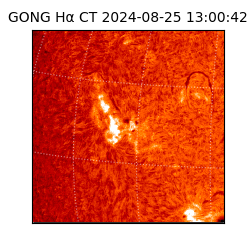 gong - 2024-08-25T13:00:42