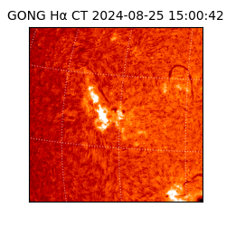 gong - 2024-08-25T15:00:42