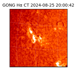 gong - 2024-08-25T20:00:42