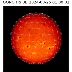 gong - 2024-08-25T01:00:02