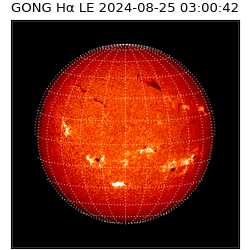 gong - 2024-08-25T03:00:42