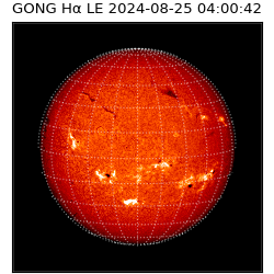 gong - 2024-08-25T04:00:42