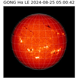 gong - 2024-08-25T05:00:42