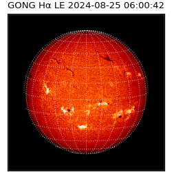 gong - 2024-08-25T06:00:42