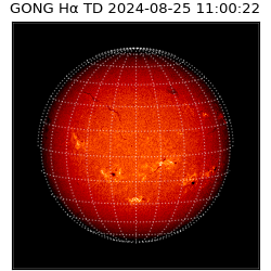 gong - 2024-08-25T11:00:22