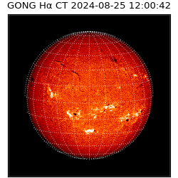 gong - 2024-08-25T12:00:42