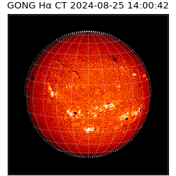 gong - 2024-08-25T14:00:42