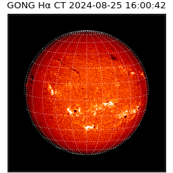 gong - 2024-08-25T16:00:42