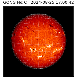 gong - 2024-08-25T17:00:42