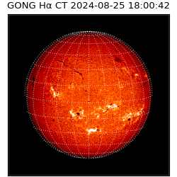 gong - 2024-08-25T18:00:42