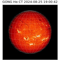 gong - 2024-08-25T19:00:42