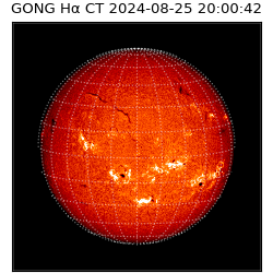 gong - 2024-08-25T20:00:42