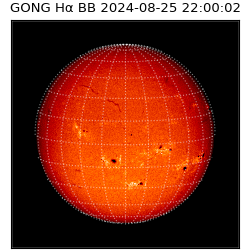 gong - 2024-08-25T22:00:02