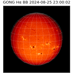 gong - 2024-08-25T23:00:02