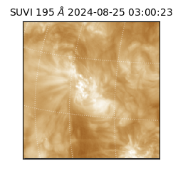 suvi - 2024-08-25T03:00:23.616000