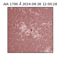 saia - 2024-08-26T12:00:28.720000