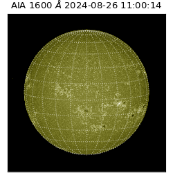 saia - 2024-08-26T11:00:14.125000