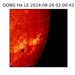 gong - 2024-08-26T02:00:42