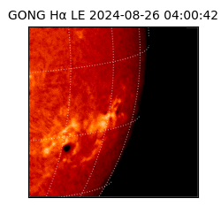 gong - 2024-08-26T04:00:42