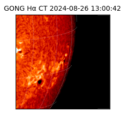 gong - 2024-08-26T13:00:42