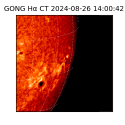 gong - 2024-08-26T14:00:42