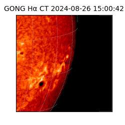 gong - 2024-08-26T15:00:42