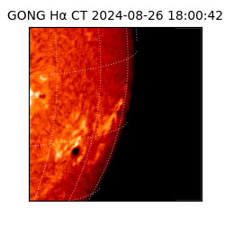 gong - 2024-08-26T18:00:42