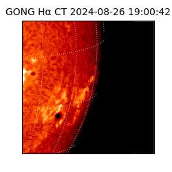 gong - 2024-08-26T19:00:42