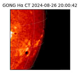 gong - 2024-08-26T20:00:42