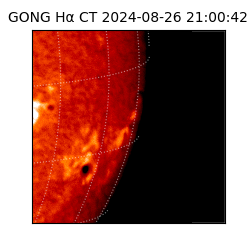 gong - 2024-08-26T21:00:42