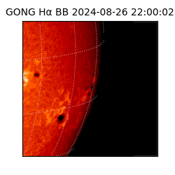 gong - 2024-08-26T22:00:02