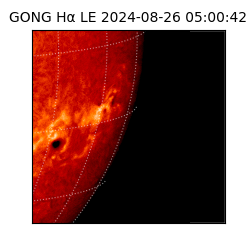 gong - 2024-08-26T05:00:42