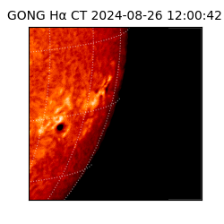 gong - 2024-08-26T12:00:42