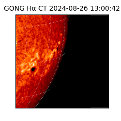 gong - 2024-08-26T13:00:42