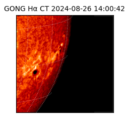 gong - 2024-08-26T14:00:42