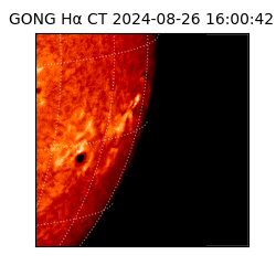 gong - 2024-08-26T16:00:42