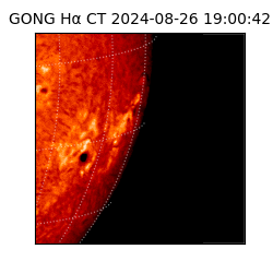 gong - 2024-08-26T19:00:42